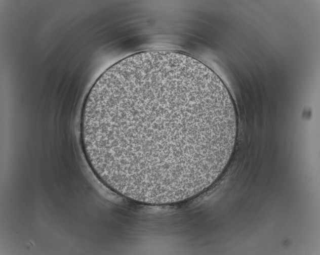 X0000094461195200712061216