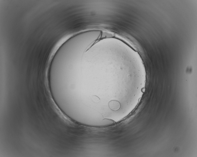 X0000094461196200712061216