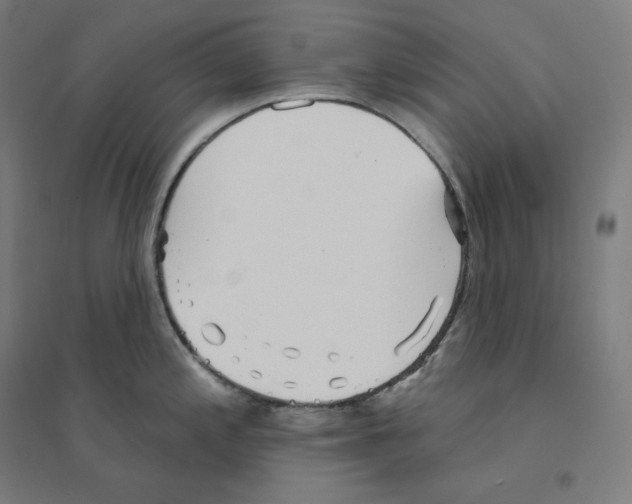 X0000094461197200712061216