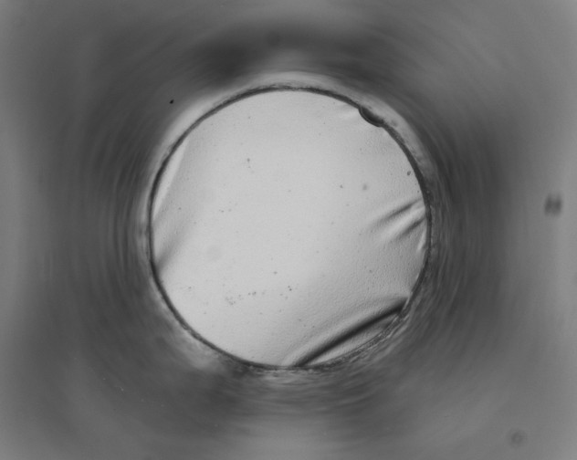 X0000094461199200712061216