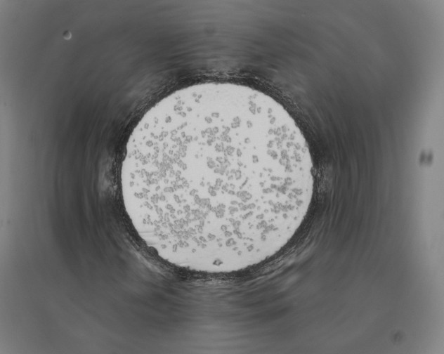X0000094461202200712061215