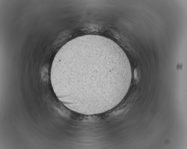 X0000094461203200712061215