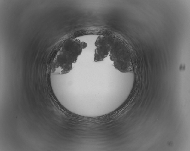 X0000094461204200712061215