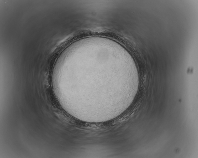 X0000094461205200712061215