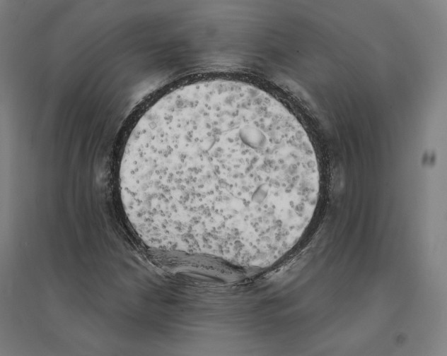 X0000094461210200712061215