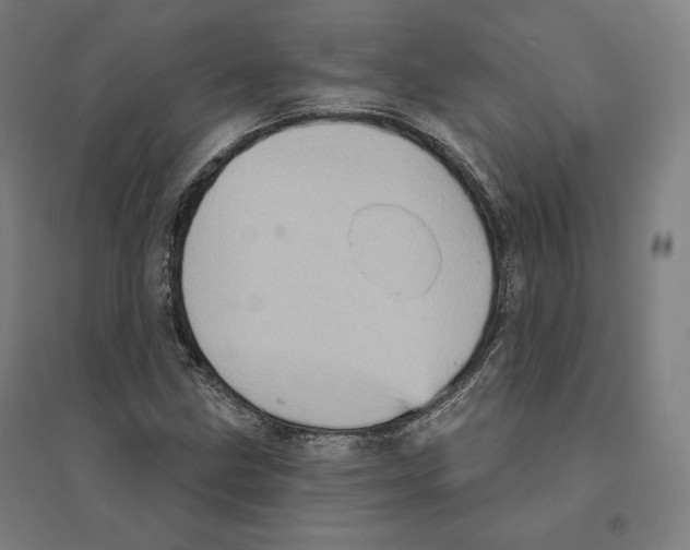 X0000094461211200712061215