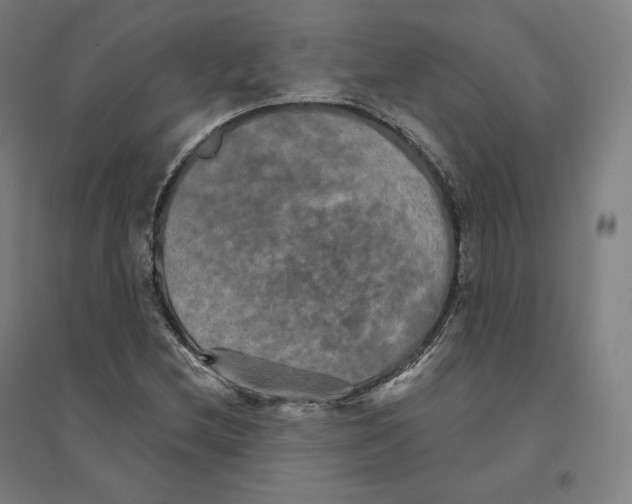 X0000094461212200712061215