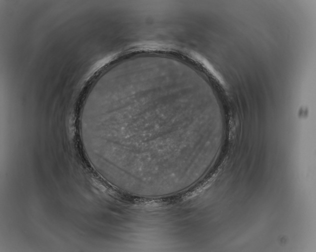 X0000094461213200712061215