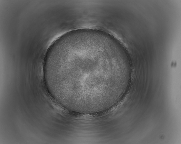 X0000094461214200712061215