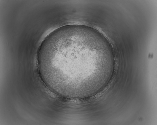 X0000094461215200712061215