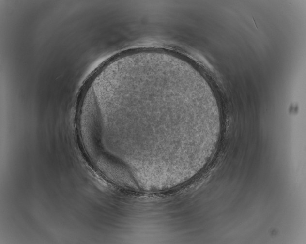 X0000094461216200712061215