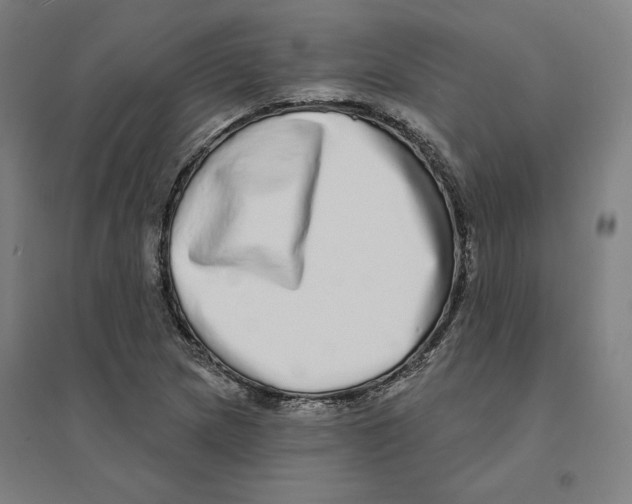 X0000094461217200712061215