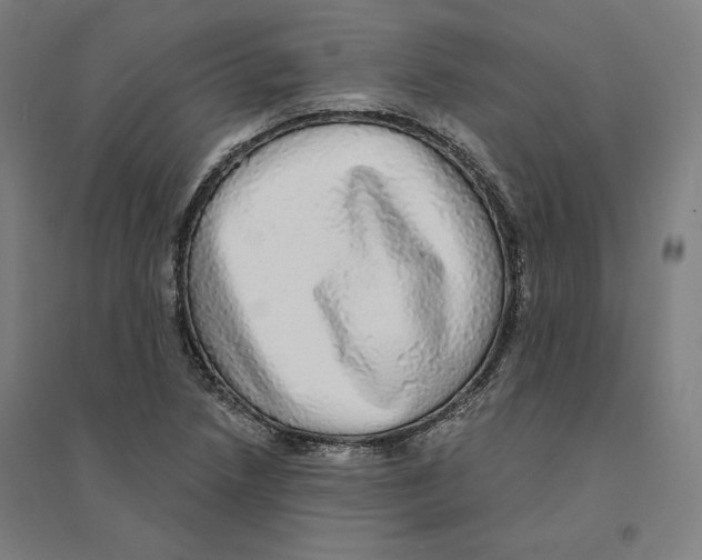 X0000094461218200712061215