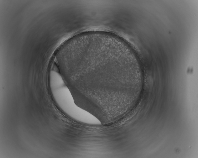 X0000094461221200712061215