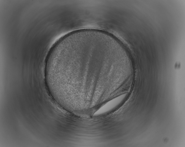 X0000094461222200712061216