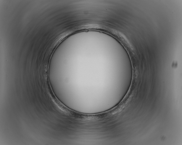 X0000094461225200712061216