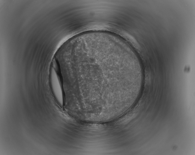 X0000094461226200712061216