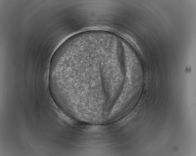 X0000094461228200712061216