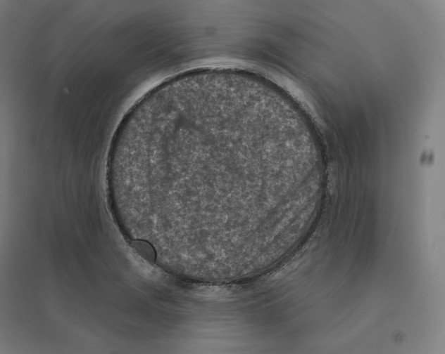 X0000094461229200712061216