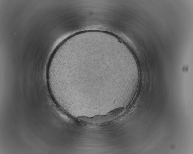 X0000094461230200712061216