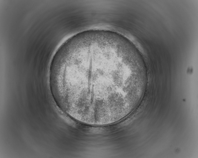 X0000094461232200712061216