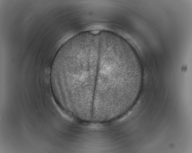 X0000094461233200712061216