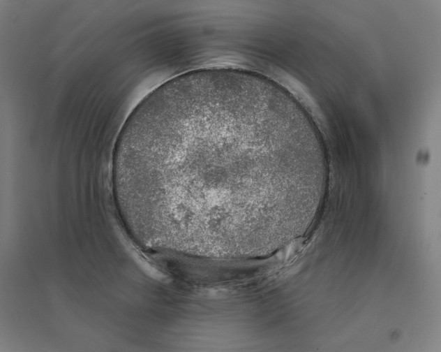 X0000094461234200712061216