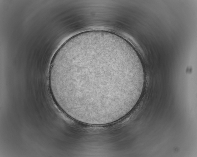 X0000094461236200712061216