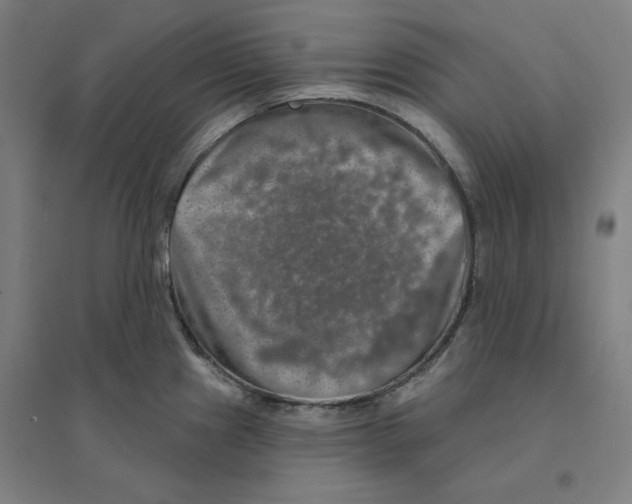 X0000094461241200712061216