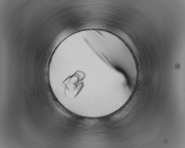X0000094461242200712061216