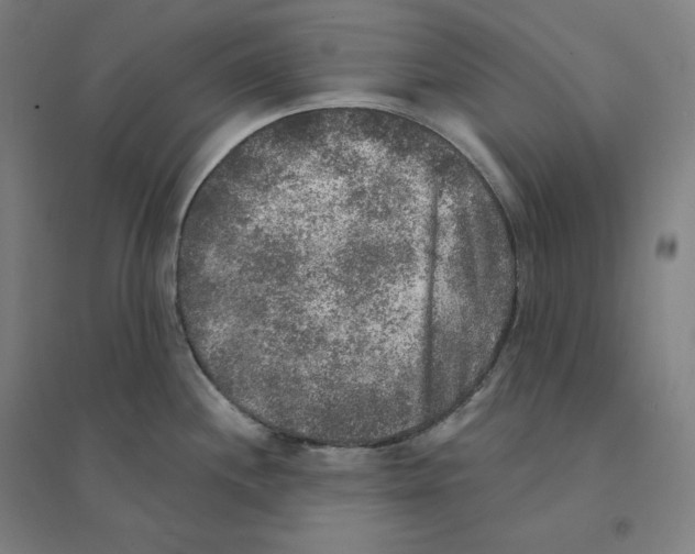 X0000094461244200712061216