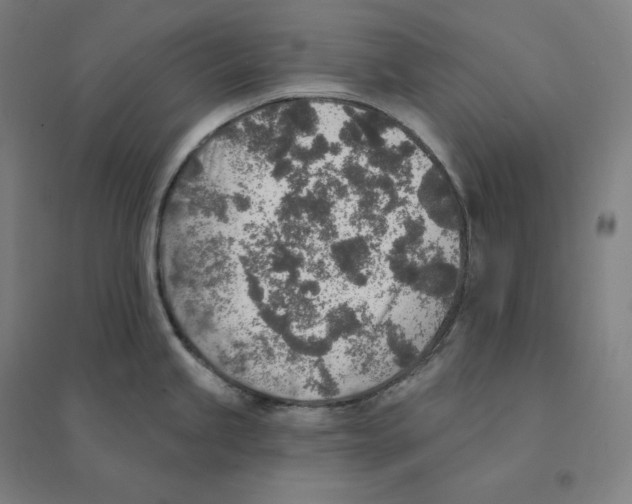 X0000094461245200712061216