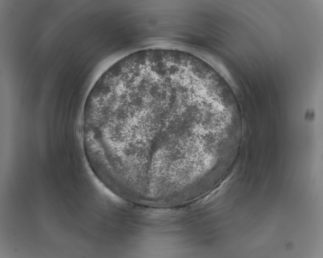 X0000094461247200712061216