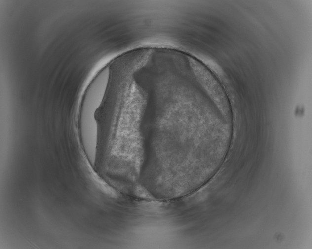 X0000094461248200712061216