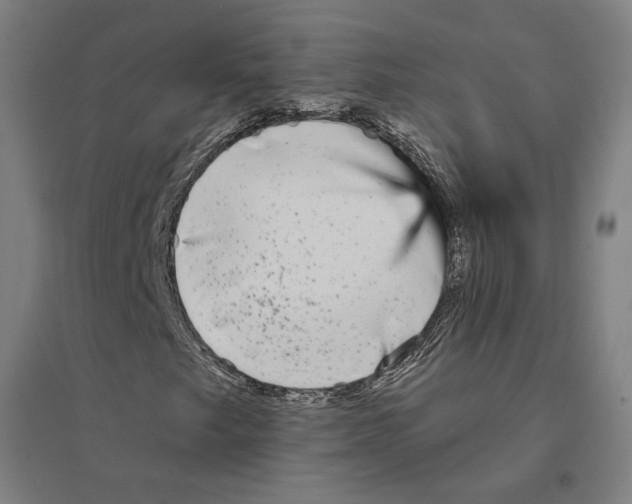 X0000094461249200712061215