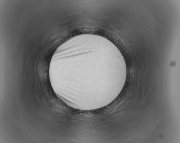 X0000094461250200712061215