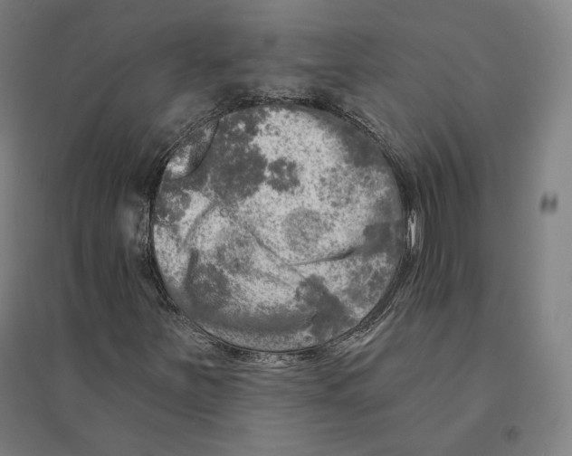 X0000094461251200712061215