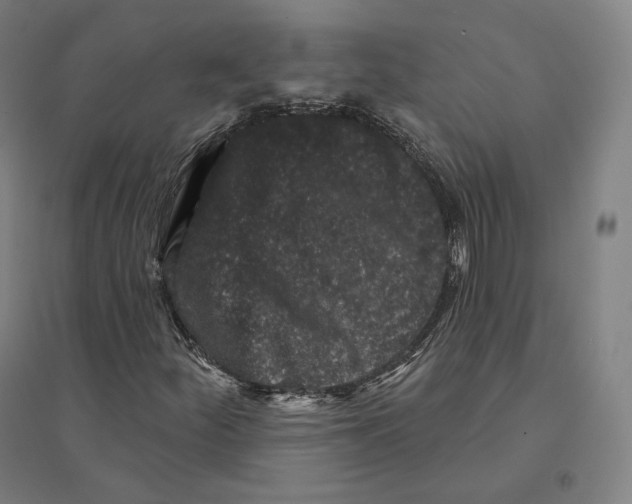 X0000094461252200712061215