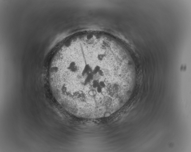 X0000094461255200712061215