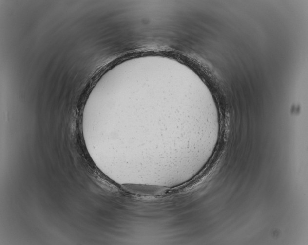 X0000094461257200712061215