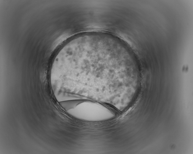 X0000094461259200712061215