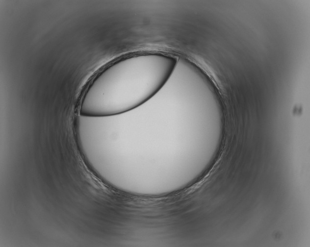 X0000094461260200712061215