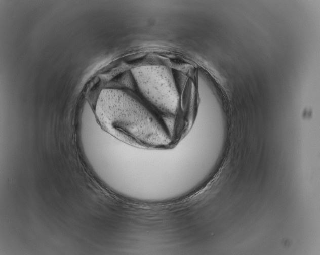 X0000094461261200712061215