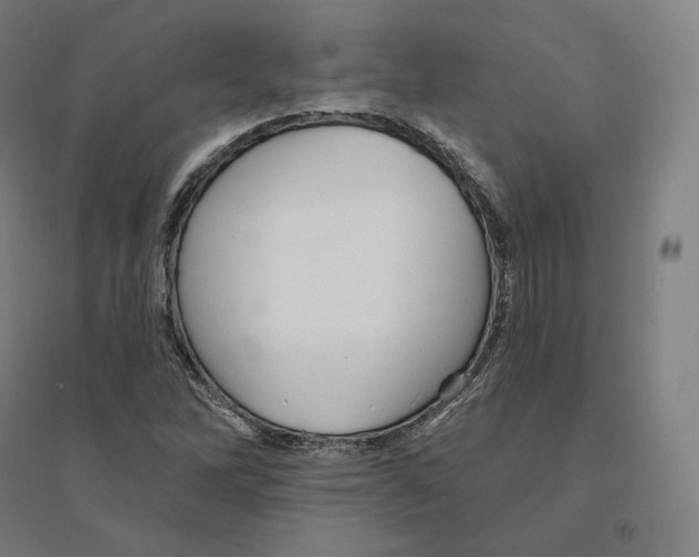 X0000094461262200712061215