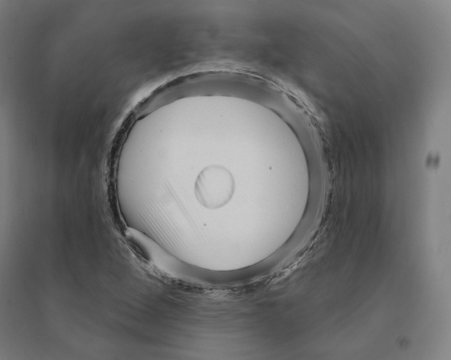 X0000094461264200712061215