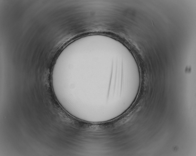 X0000094461265200712061215