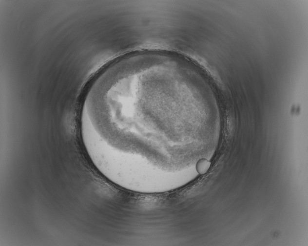 X0000094461266200712061215