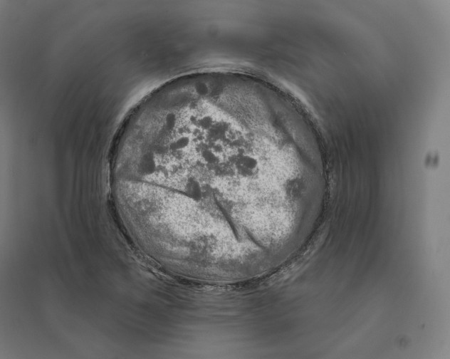 X0000094461267200712061215