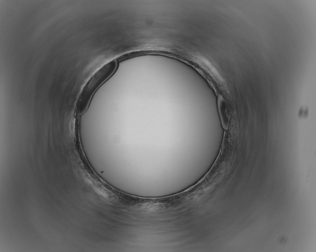 X0000094461268200712061215