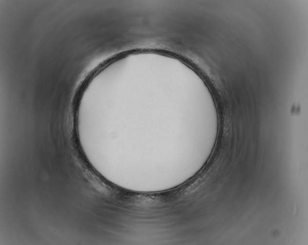 X0000094461270200712061215